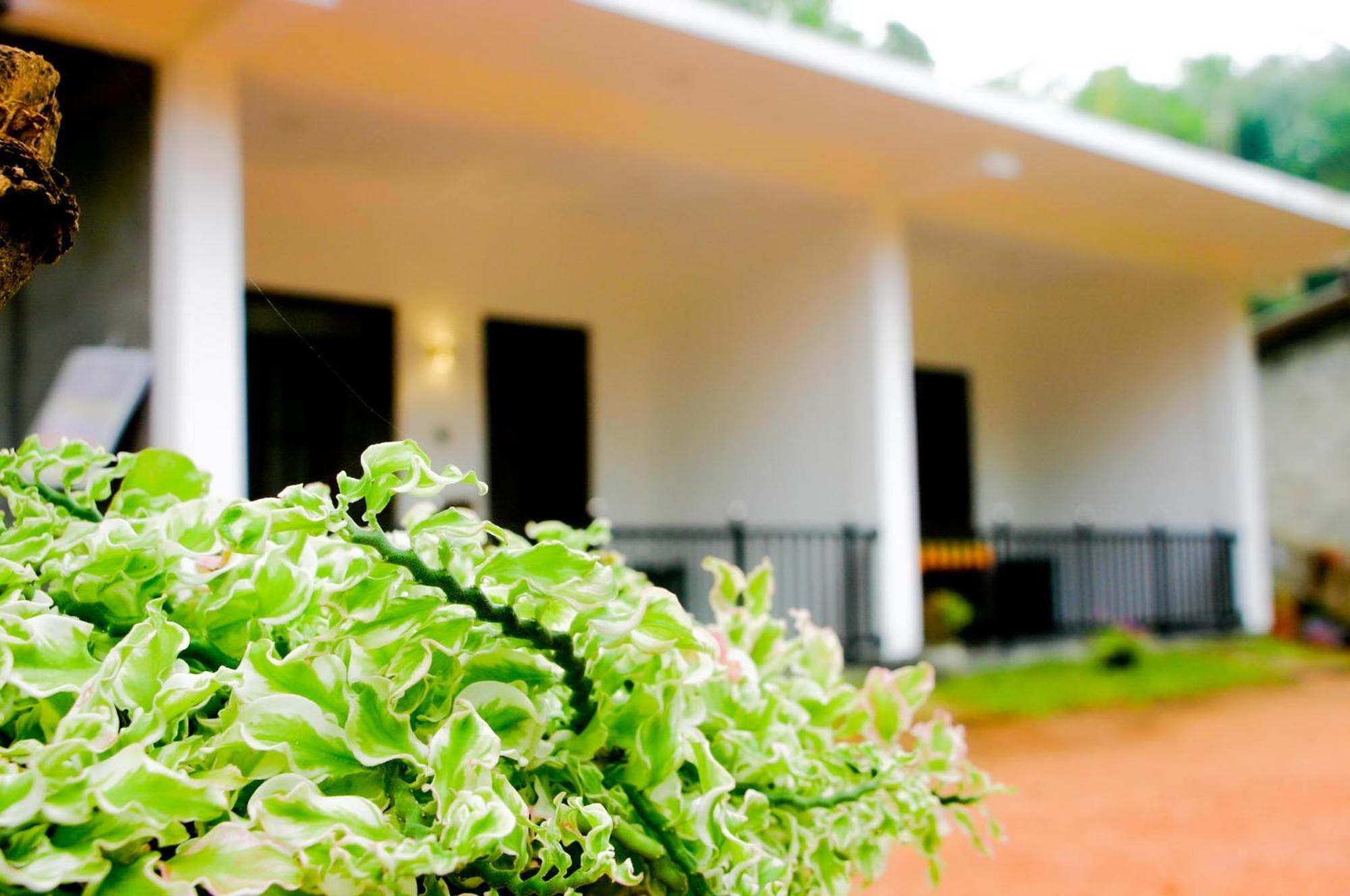 Sigiri Heaven Villa Sigiriya Exterior foto