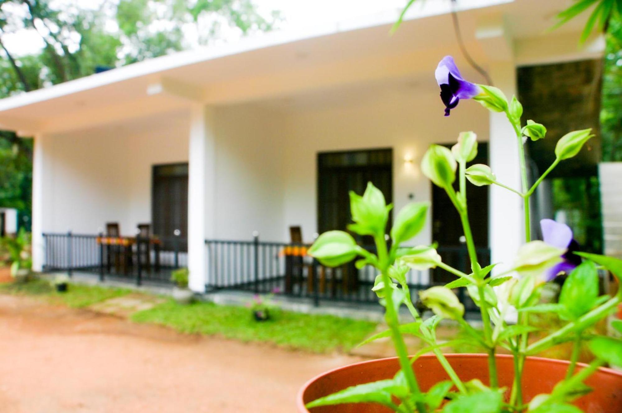 Sigiri Heaven Villa Sigiriya Exterior foto
